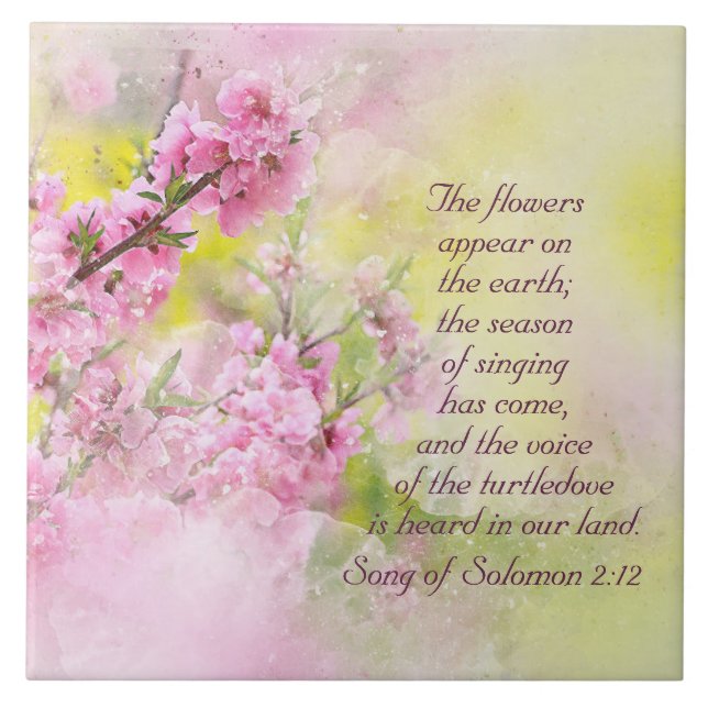 Música de Salomão 2:12 Flores aparecem na Terra (Frente)