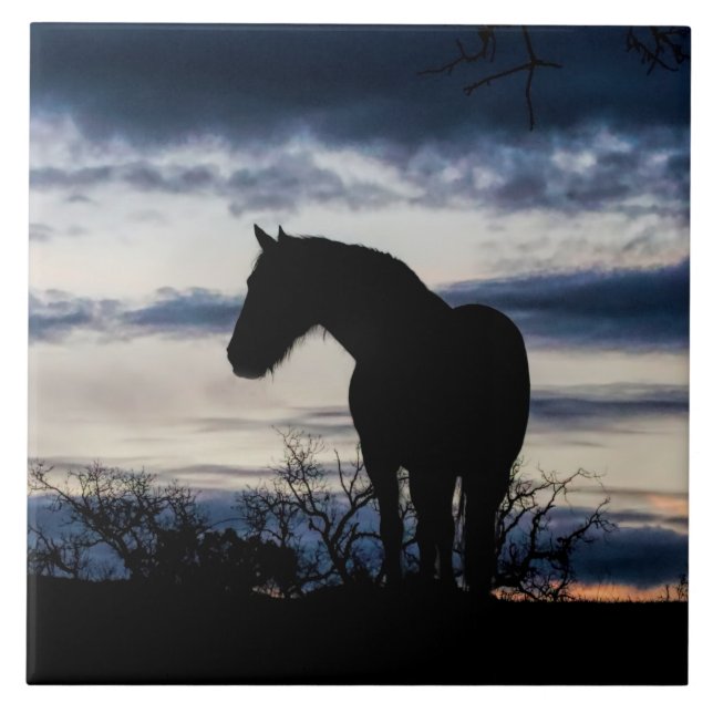 Mustang e Storm Fine Art (Frente)