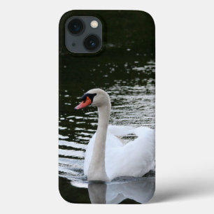 Mute Swan capas de iphone