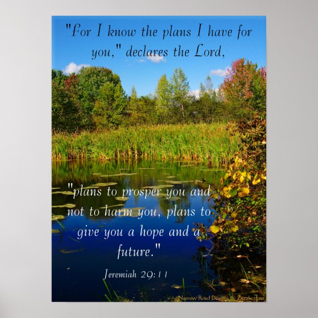 My Plans For You Scripture Poster (Frente)