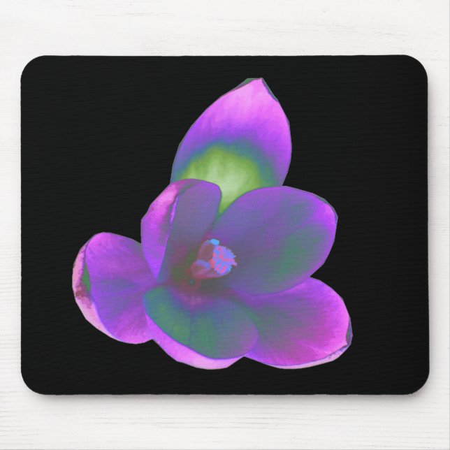 Mystic Beauty Crocus Flower Mousepad (Frente)