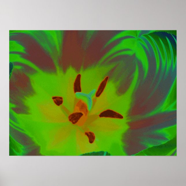 Mystic Green Tulip Poster (Frente)