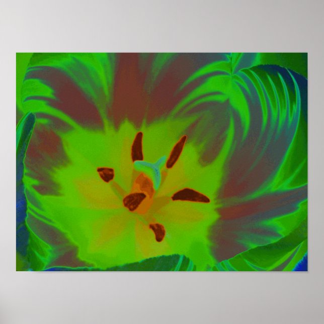 Mystic Green Tulip Poster (Frente)