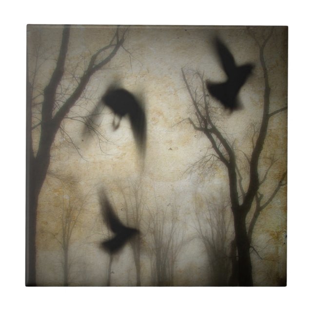 Mystical Crow Forest (Frente)