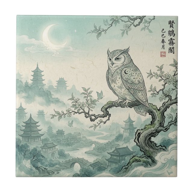 Mystical Owl Moon Landscape Art (Frente)