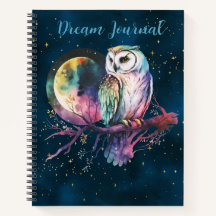 Mystical Rainbow Owl & Full Moon Celestial Diário