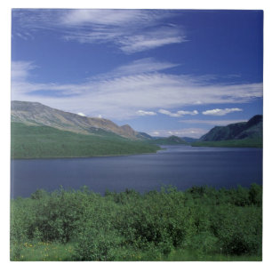 N.A., Canadá, Terra Nova, Truta de Grose Morne