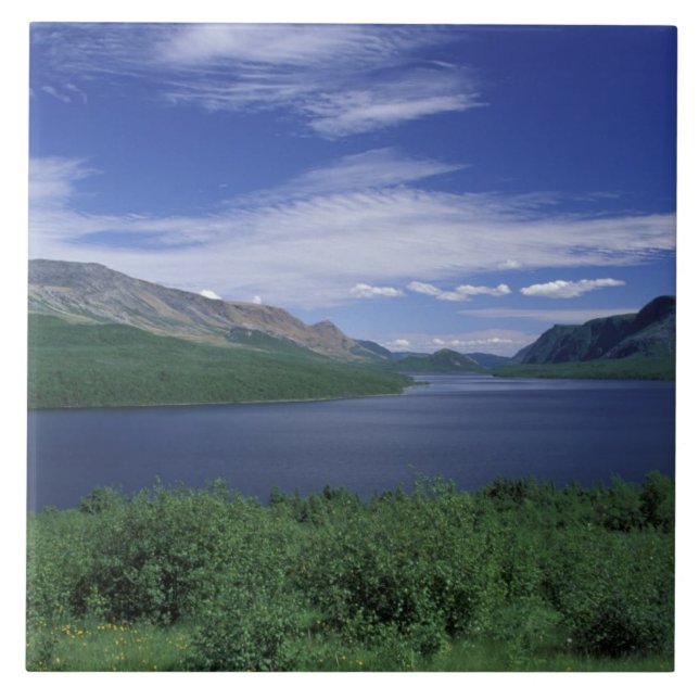 N.A., Canadá, Terra Nova, Truta de Grose Morne (Frente)