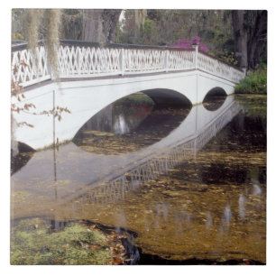 N.A., EUA, Carolina do Sul, Charleston.Doenças