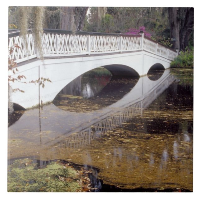 N.A., EUA, Carolina do Sul, Charleston.Doenças (Frente)