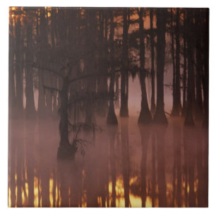 N.A., EUA, Geórgia, George Smith State Park.