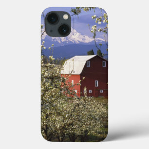 N.A., EUA, Oregon, Hood River County. Vermelho
