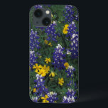 N.A., EUA, Texas, Marble Falls, Blue Bonnets<br><div class="desc">NA,  EUA,  Texas,  Marble Falls,  Blue Bonnets e Coreopis � Darrell Gulin / DanitaDelimont.com</div>