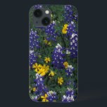 N.A., EUA, Texas, Marble Falls, Blue Bonnets<br><div class="desc">NA,  EUA,  Texas,  Marble Falls,  Blue Bonnets e Coreopis � Darrell Gulin / DanitaDelimont.com</div>