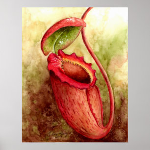 N Rajah Watercolor Art Poster