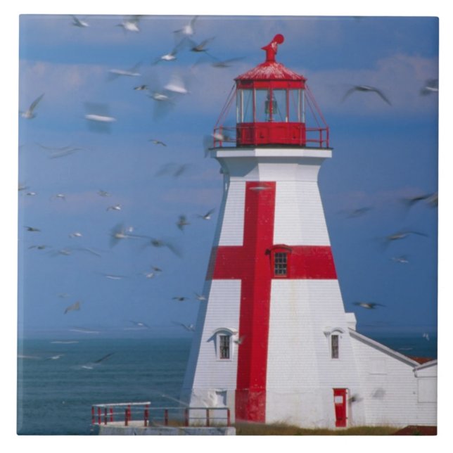 NA, Canadá, New Brunswick, Ilha Campobello. 8 (Frente)