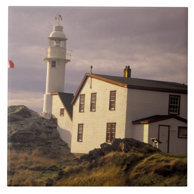 NA, Canadá, Terra Nova, Lagosta Cove. Lagosta (Frente)