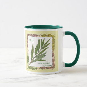 Na caneca da folha de louro do ~ do jardim