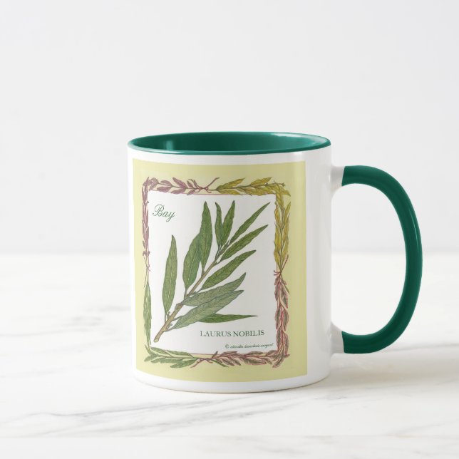Na caneca da folha de louro do ~ do jardim (Direita)