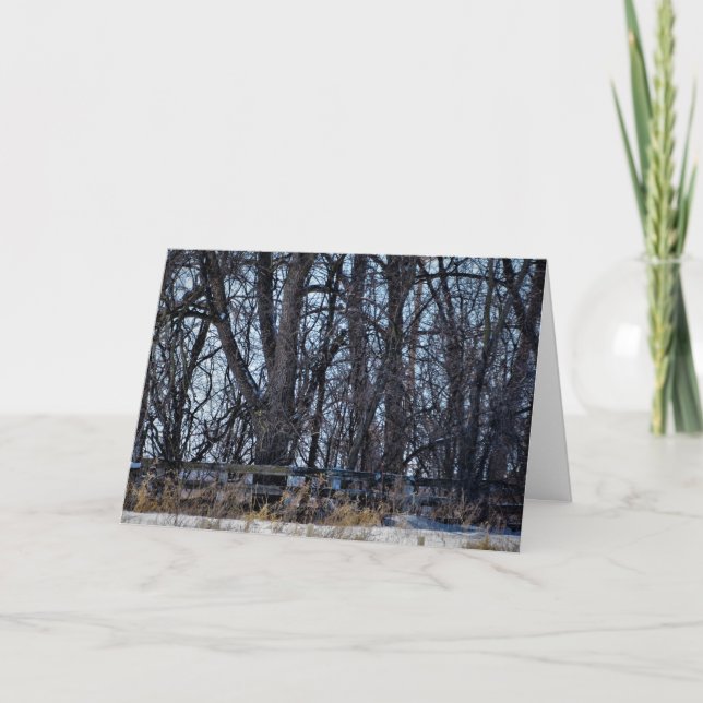 "Na Estrada da Memória" Cartão de Natal (Frente)