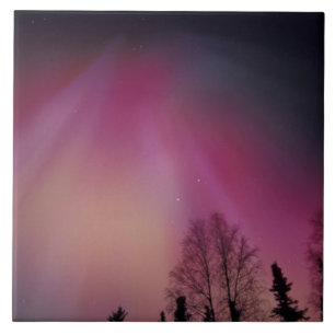NA, EUA, Alasca, Fairbanks. Cortinas de roxo, 2
