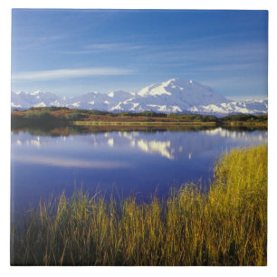 NA, EUA, Alaska, Denali NP Mt. McKinley em