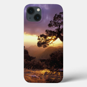 NA, EUA, Arizona, Tucson, Pôr do sol e solitário