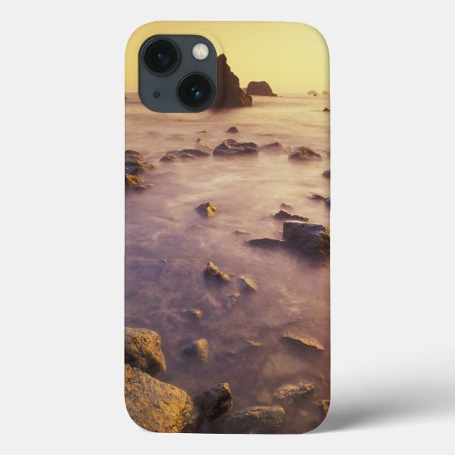 NA, EUA, Califórnia, Norte California, (Verso)