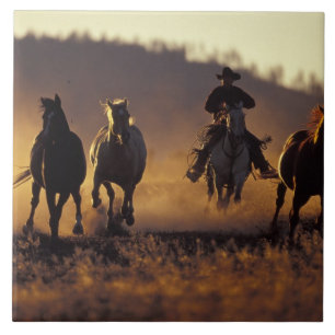 NA, EUA, Oregon, Seneca, Ponderosa Ranch, Cowboy 2