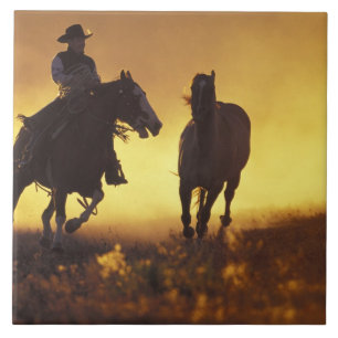 NA, EUA, Oregon, Seneca, Ponderosa Ranch, Cowboy 3