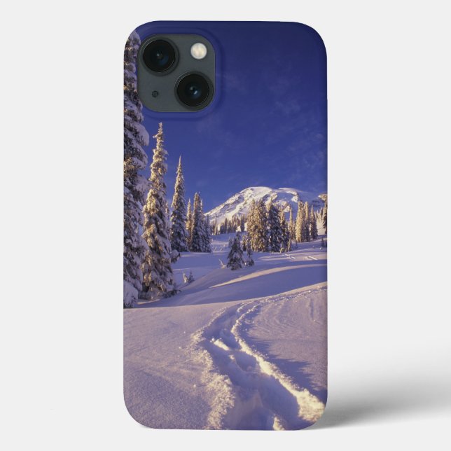 NA, EUA, Washington, Monte Rainier NP, Snowshoe (Verso)