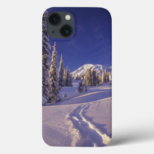 NA, EUA, Washington, Mt. Rainier NP, Neve profunda