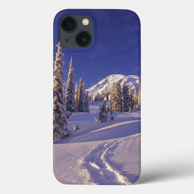 NA, EUA, Washington, Mt. Rainier NP, Neve profunda (Verso)