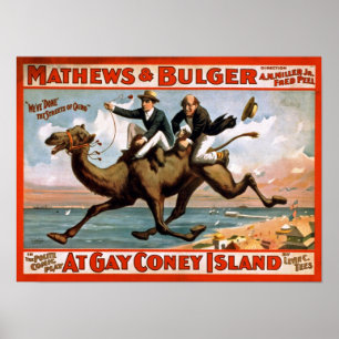 Na Gay Coney Island Poster vintage