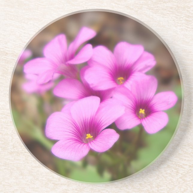 Na minha Porta copos (Frente)