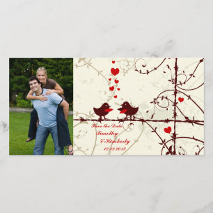 Na moda, aves salva o cartões de fotos