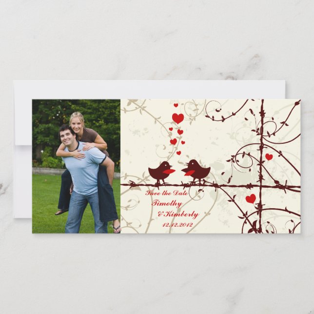 Na moda, aves salva o cartões de fotos (Frente)