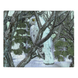 Na Selvagem Snowy Owl