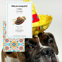Nacho Seu Média De Cachorro Sombrero Taco Convite