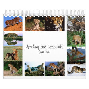 Nada mas leopardos - calendário 2012