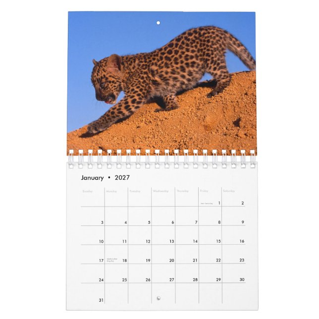 Nada mas leopardos - calendário 2012 (Jan 2027)