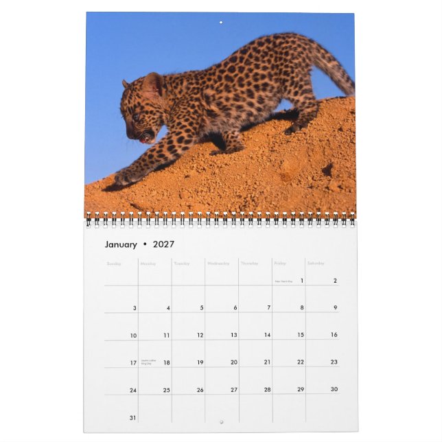 Nada mas leopardos - calendário 2013 (Jan 2027)