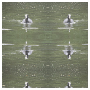 Nadação De Coot Tecido Animal Padrão