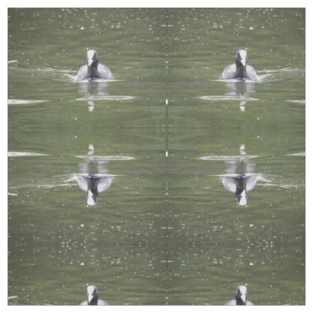 Nadação De Coot Tecido Animal Padrão (Modelo)