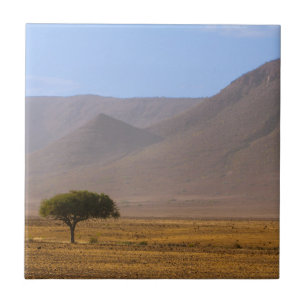 Namíbia África Desert Scenery Natureza