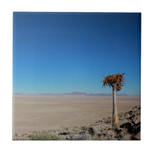 Namíbia Tirool Namib Paisagem do Deserto Kokerboo