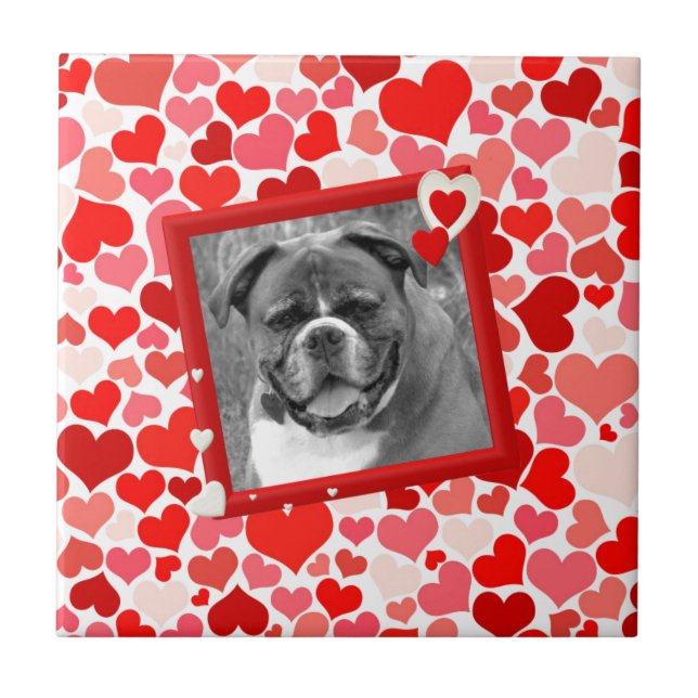 Namorados Boxer Dog Hearts (Frente)