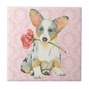 Namorados Cardigan Welsh Corgi