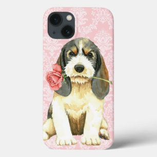 Namorados Petit Basset Griffon Vendeen