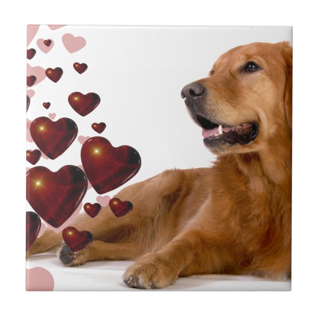Namorados Red Hearts Ouro Retriever Dog (Frente)